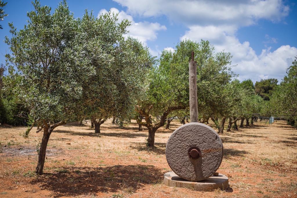 Vrysomylos Vromonerion Luaran gambar